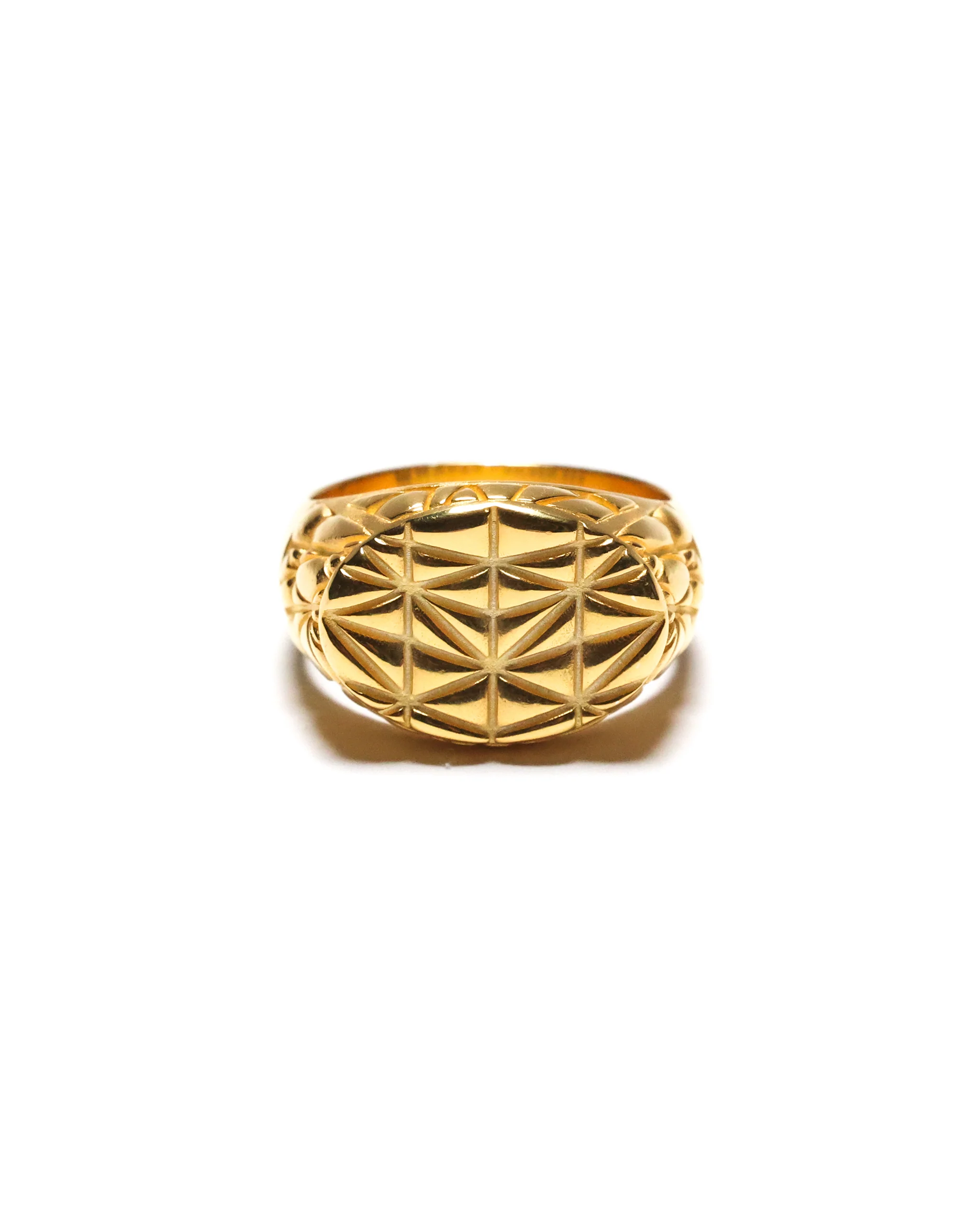 Mccourt Signet (14K Gold)