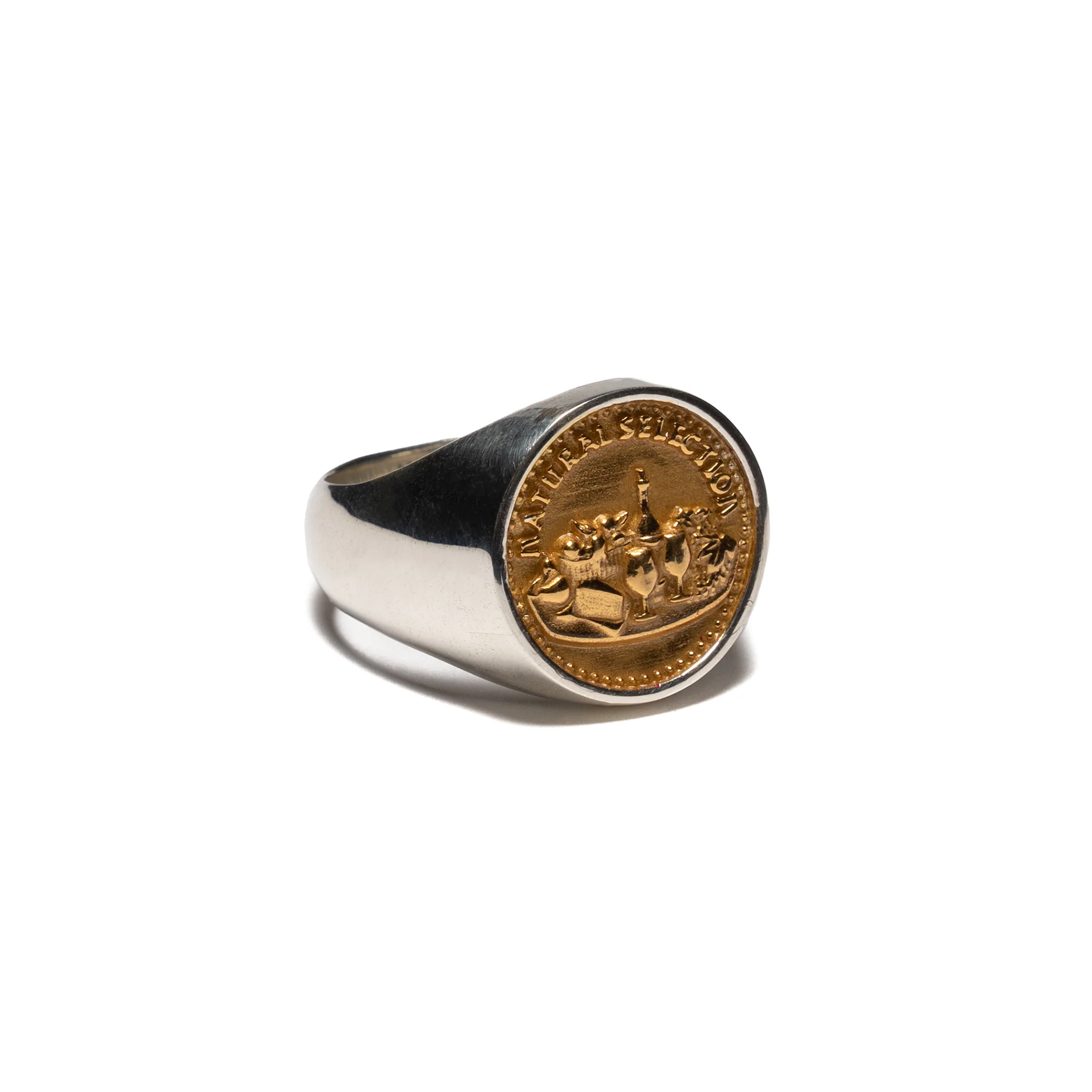 Natural Selection Signet (Silver 925/14K Gold) - Image 3